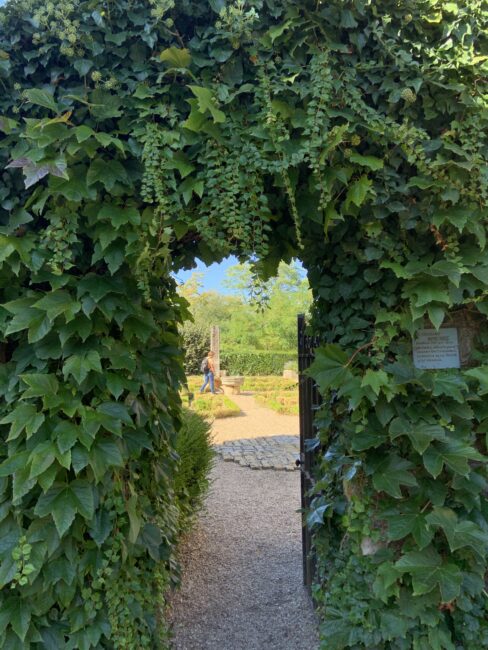 Jardin de la collégiale